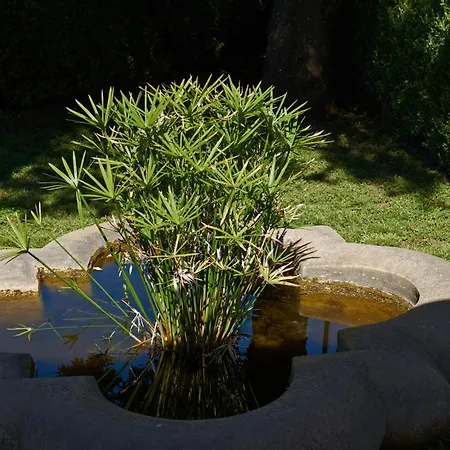 Prázdninový dům La Casa Dei Merli