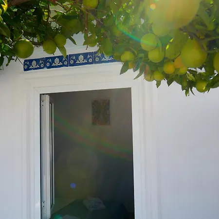 La Casa Dei Merli Prázdninový dům *