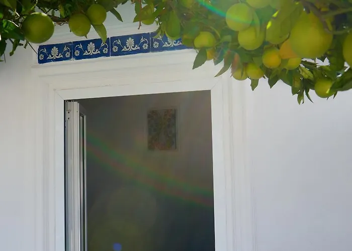 La Casa Dei Merli 度假居 *